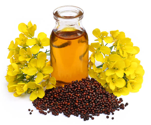 istock Mustard oil with flower 483924294
