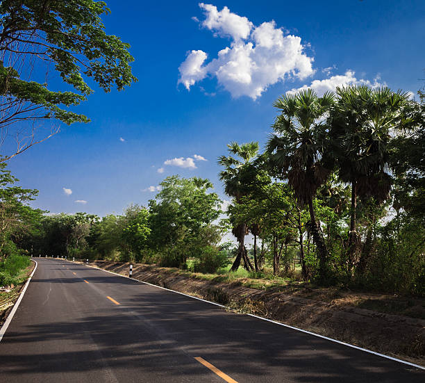 istock Road in country 483929774