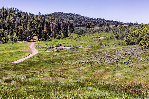 istock Campground Corral Wasatch Mountain Range Utah USA 483933582
