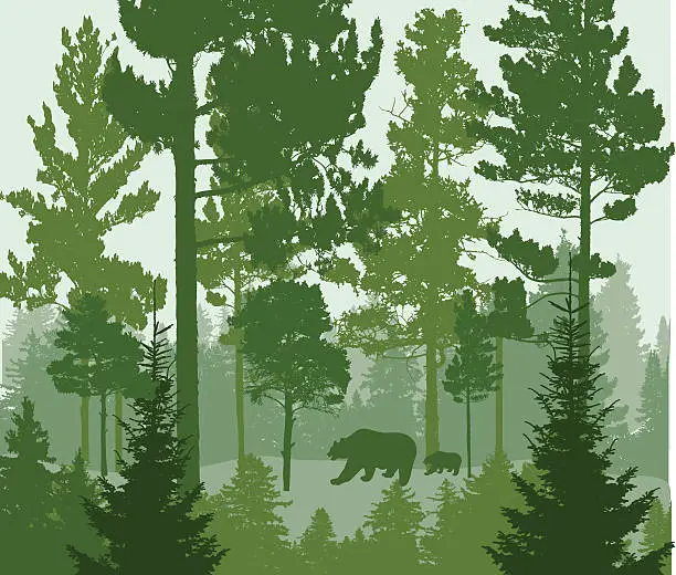 Vector illustration of Forest