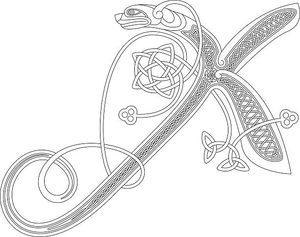 Ornamental celtic initial X drawing (Animal with endless knots) Celtic initial drawing of the letter X in black and white. This ornamental letter is based on a dog/insect with wings and endless knots (celtic knots). The shape of the letters refers to the unziale (medieval type form). Similar illustrations are known from the various illuminations in medieval, celtic books such as the "book of kells" and the "Lindisfarne gospels". celtic letter x stock illustrations