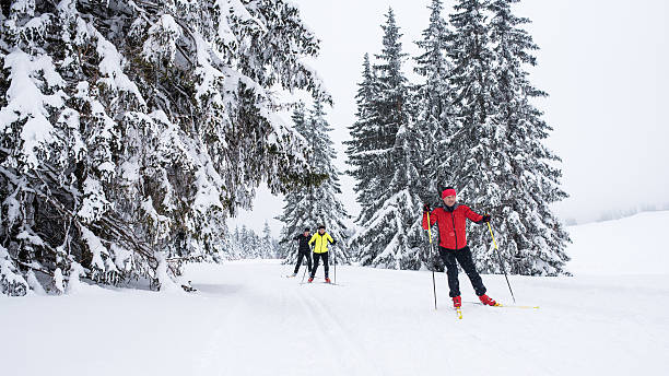 istock Small Group Back Country Nordic Skiing 483937606