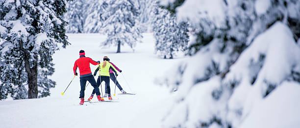 grupo pequeño país de esquí nórdico posterior - back country skiing fotos fotografías e imágenes de stock