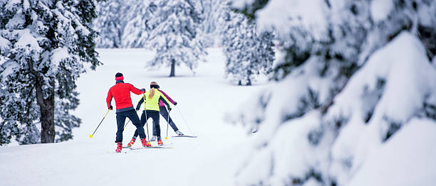 istock Small Group Back Country Nordic Skiing 483937644