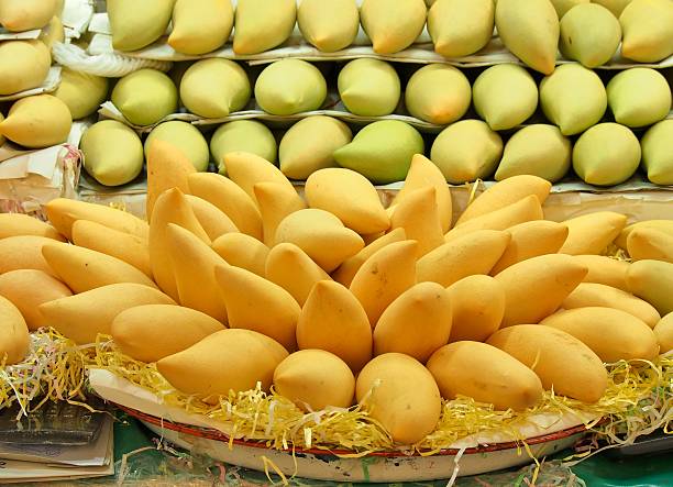 istock Mangoes in market 483938090