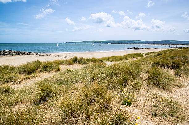 piękny wydmy i krajobraz na plaży w słoneczny letni dzień - sunlgiht zdjęcia i obrazy z banku zdjęć