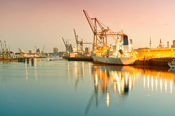 germany, hamburg, view on hansahafen, harbour district, cargo ship - harbour city imagens e fotografias de stock