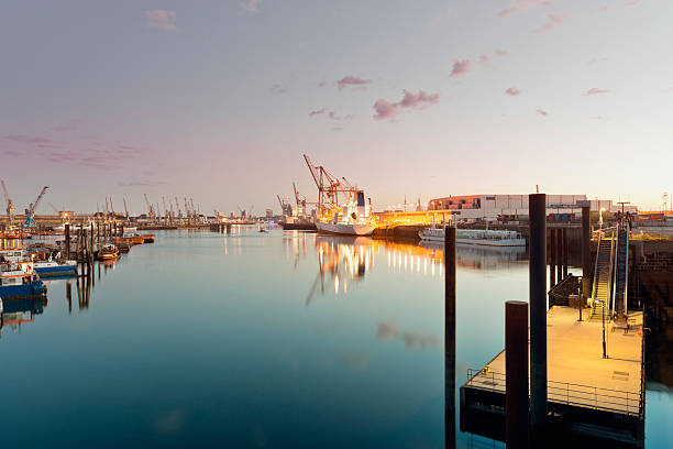 istock Germany, Hamburg, view on Hansahafen, harbour district, cargo ship 483949578