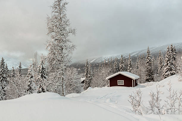istock Garage with winter mountain in the background 483954113