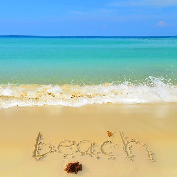 istock beach and tropical sea 483955243