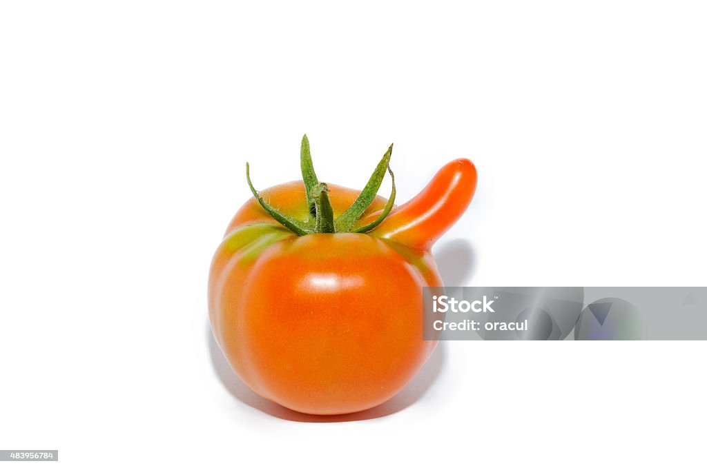 Strange tomato Curious tomato with appendage in the form of a long nose on white. 2015 Stock Photo