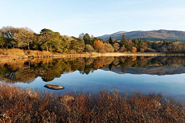 Killarney national park, kerry, Ireland stock photo