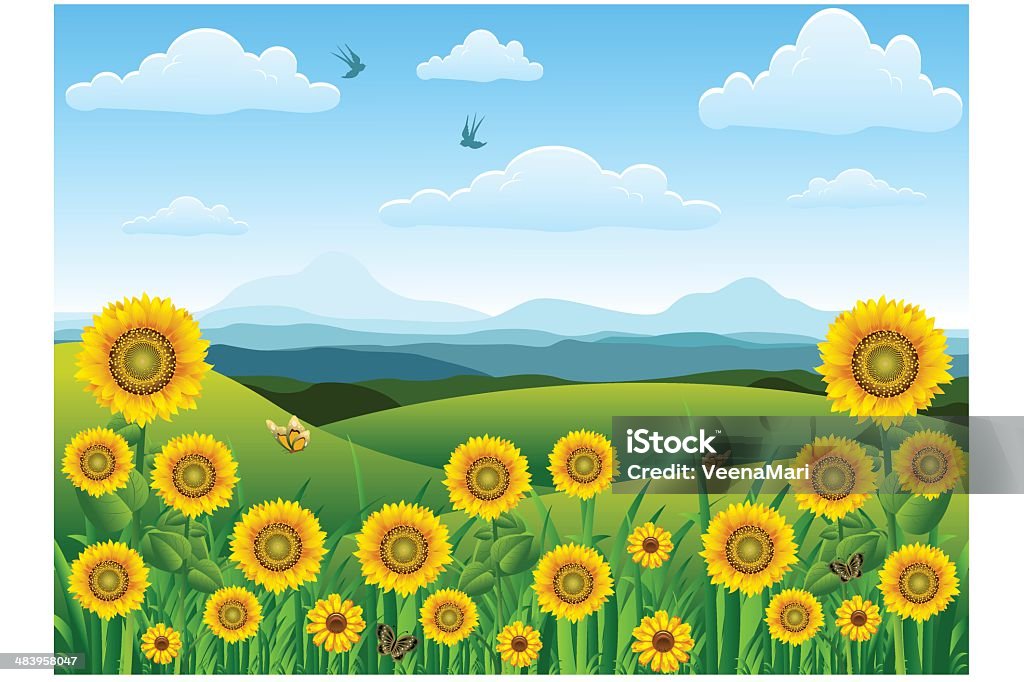 Girasol paisaje. - arte vectorial de Girasol libre de derechos