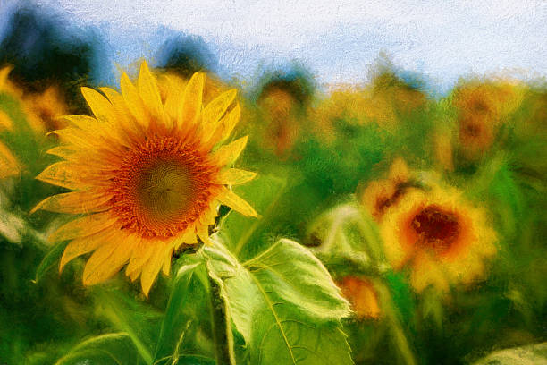 istock Digital art paint composition, field sunflower, pastel, watercolour, smudge 483959972