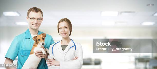Vet Workers Team Stock Photo - Download Image Now - Animal Hospital, Pets, Veterinarian