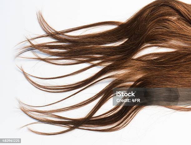 Long Hair Stock Photo - Download Image Now - White Background, Human Hair,  Cut Out - iStock