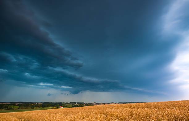 istock Stormy sky over field 483963256