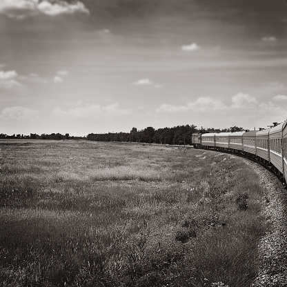 Train running in summer meadow