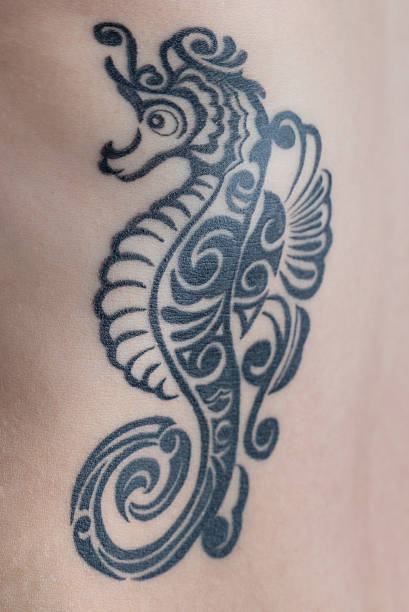 istock Seahorse on Ribs Tattoo 483977524