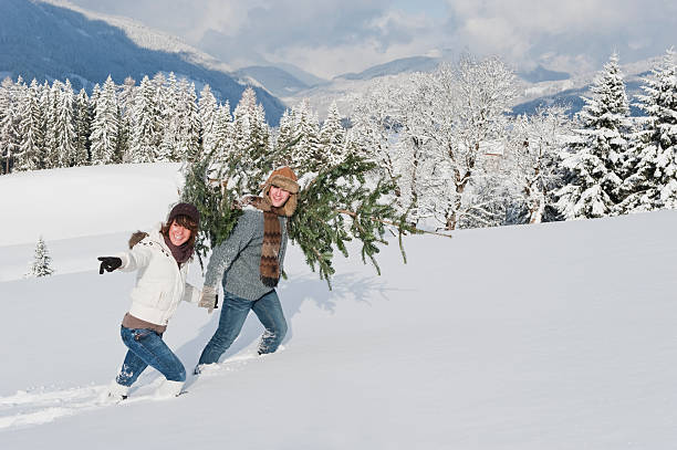 istock Young man and woman carrying christmas tree in snow 483977532