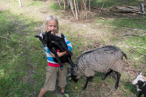 istock Little blond boy with black lamb in his arms. 483977812