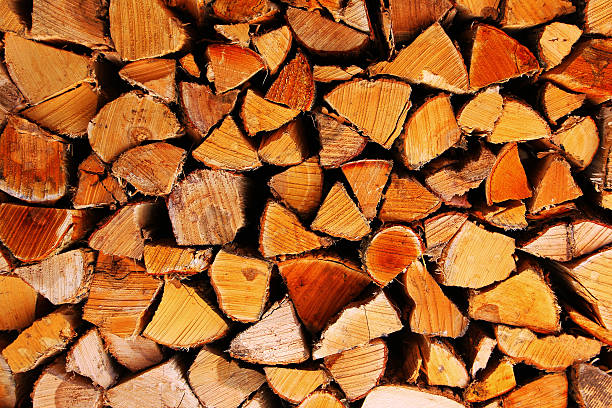 istock Pile of Wood 483980060