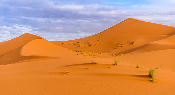 Erg Chebbi sand dunes in Moroccan desert in the morning stock photo