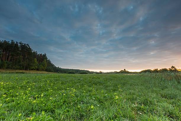 istock Beautiful sunrise over  meadow 483983568
