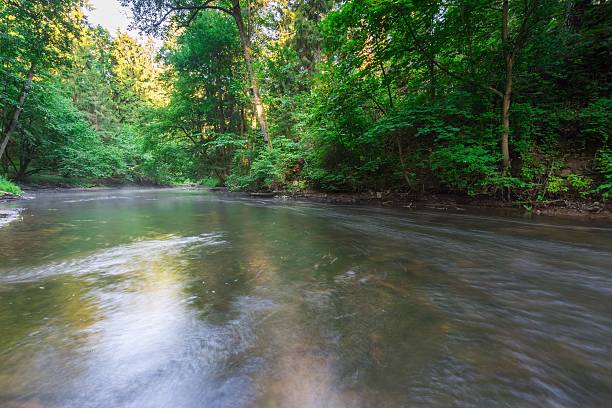 istock Beautiful landscape with summertime forest and river 483984000
