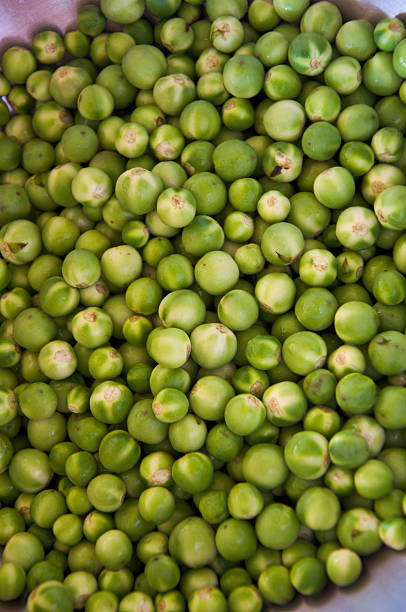 Fresh green tomato