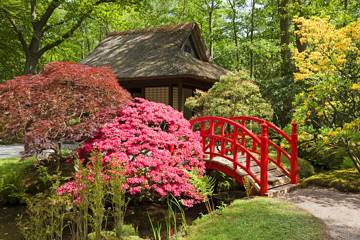 Japanese garden in springtime, please see also my other garden flowers in my lightbox: