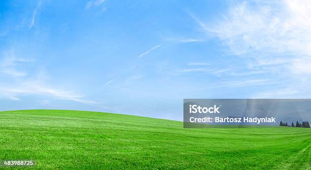 Primavera Paesaggio 79mpix Xxxxlprato Blu Cielo Nuvole - Fotografie stock e altre immagini di Conservazione ambientale