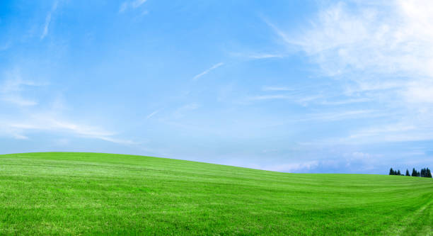istock Spring landscape 79MPix XXXXL - meadow, blue sky, clouds 483988725