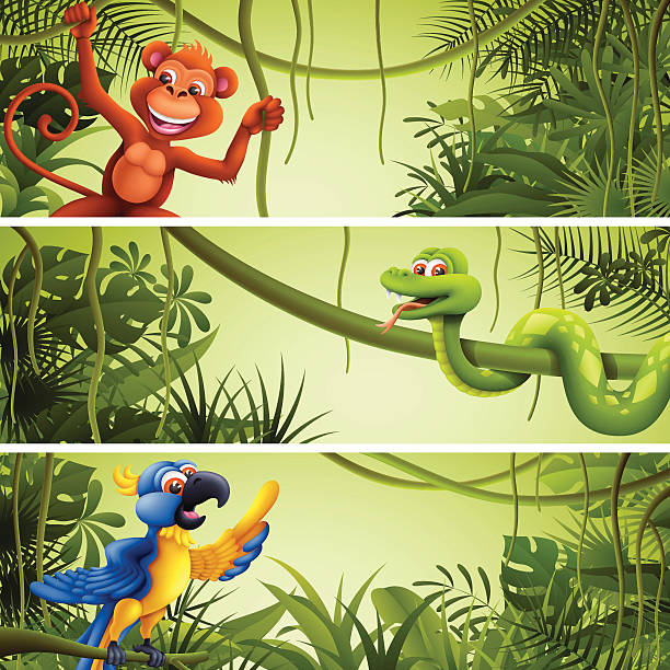 jungle баннеры с диких животных - tropical climate banner tropical rainforest placard stock illustrations