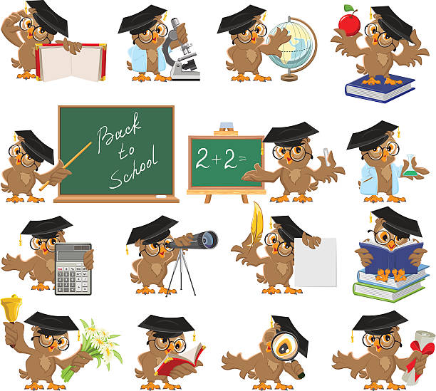 duży zestaw sowa nauczyciel - blackboard professor expertise child stock illustrations