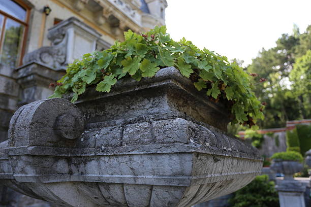 The stone jug-bed in the abandoned garden.