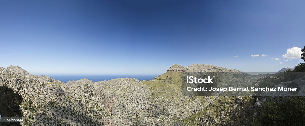 Vista sul Mediterraneo - Foto stock royalty-free di Albero
