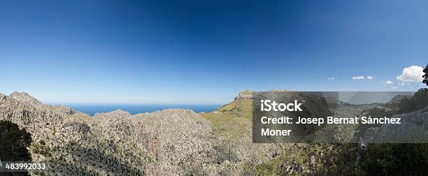 Vista Sul Mediterraneo - Fotografie stock e altre immagini di Albero - Albero, Ambientazione esterna, Banyalbufar