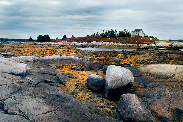 istock Peggy's Cove Nova Scotia Landscape 483992947