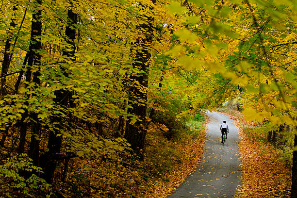 ottobre strada bicicletta - racing bicycle bicycle cycling yellow foto e immagini stock