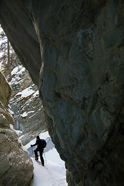 istock Canyon Snowshoe Trip 483993581