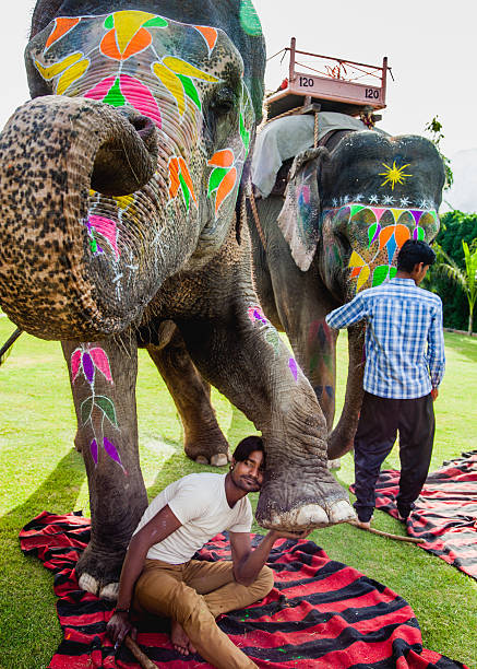 Two Mahouts Stock Photo - Download Image Now - 2015, Adult, Adults Only - iStock Two Mahouts Stock Photo - Download Image Now - 2015, Adult, Adults Only - iStock