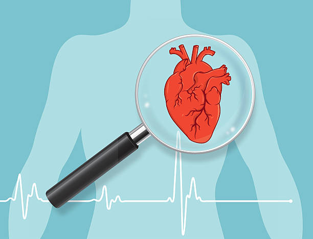 Heart checkup Checkup heart health with magnifying lens. Eps10. Contains transparent objects.  heart attack stock illustrations