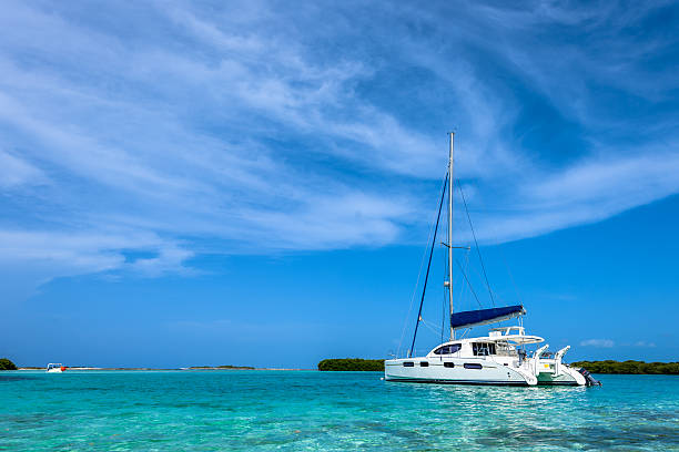 istock Paradise on Earth, Los Roques Venezuela 484004816