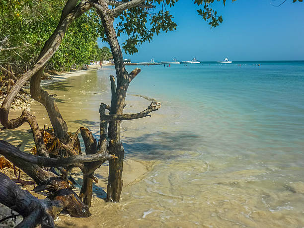 istock Paradise Tropical Island in Cartagena 484009452