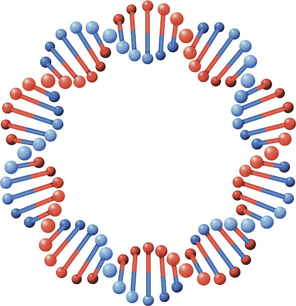 круг днк - dna helix helix model red stock illustrations