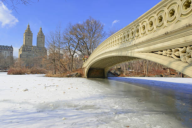 istock Bow Bridge and Central Park, Manhattan, New York City 484012271