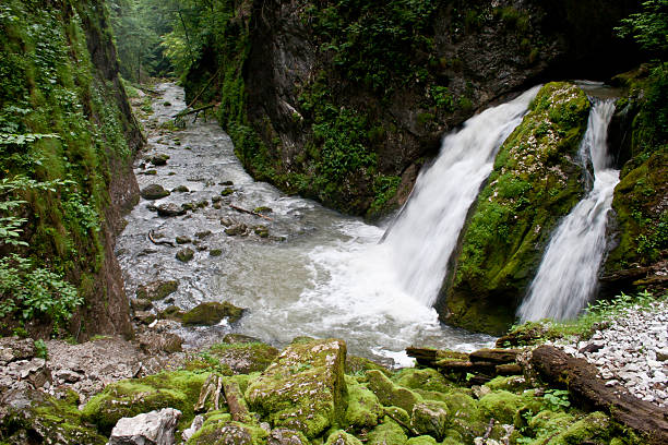 Waterfall in Galbenei gorge, Apuseni national park, Romania