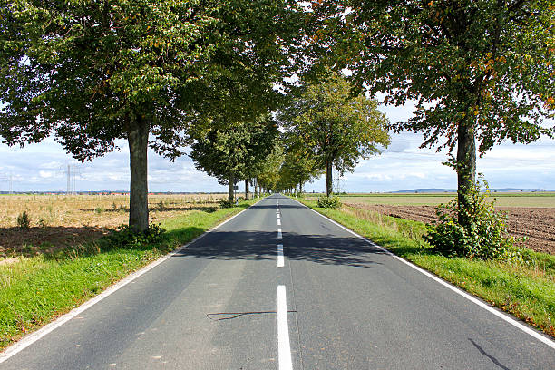 istock View of a rural road stretching into the distance. 484013048