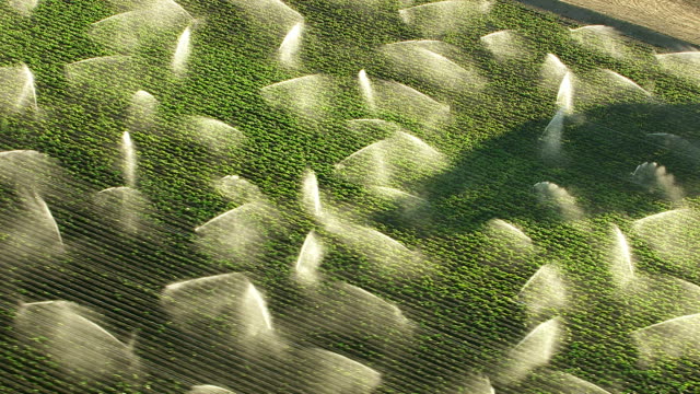 Aerial shot of irrigation sprinklers in field